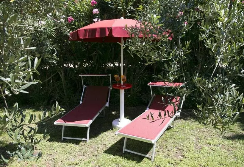 Rifa B&b