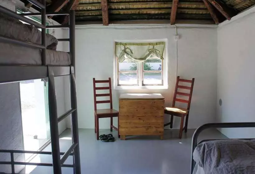 ベッドアンドブレックファースト L Vagabond