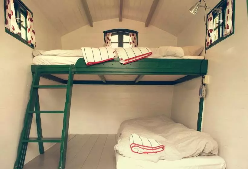 ベッドアンドブレックファースト L Vagabond