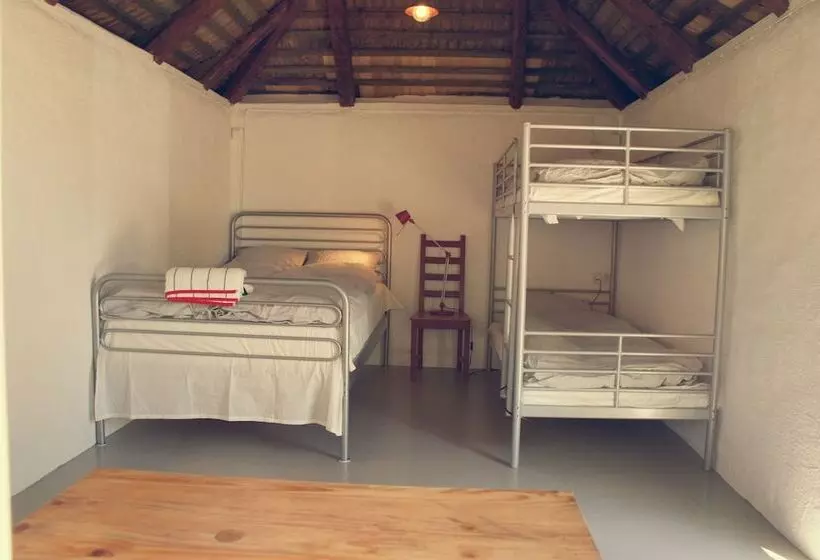 ベッドアンドブレックファースト L Vagabond