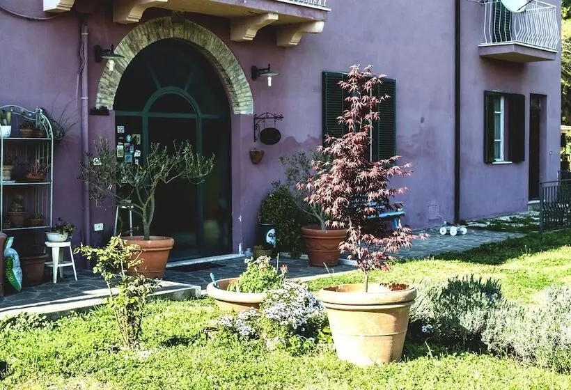 Aamiaismajoitus (B&B) La Casa Dei Carrai