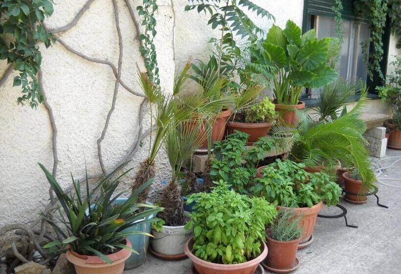 تختخواب و صبحانه La Regina Di Adrano