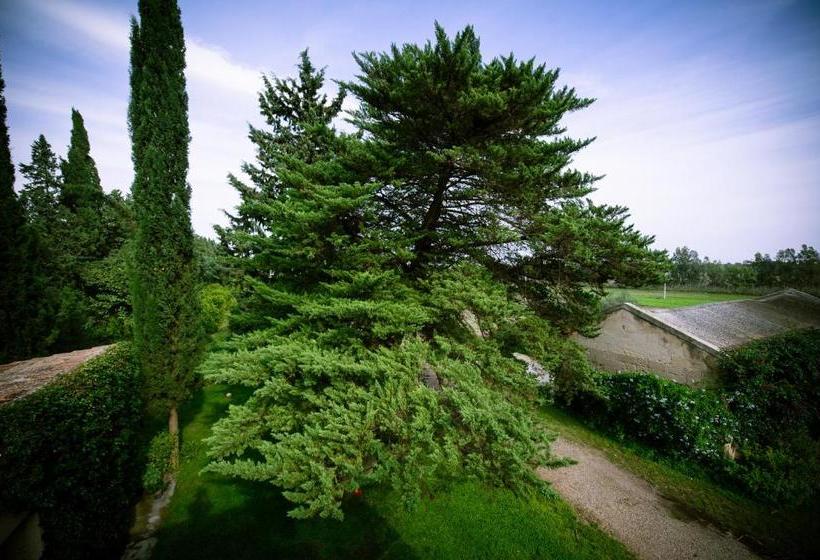 Bed and Breakfast Masseria Perronello Country House