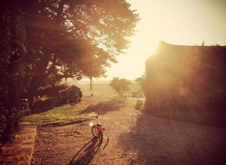 Aamiaismajoitus (B&B) Masseria Perronello Country House