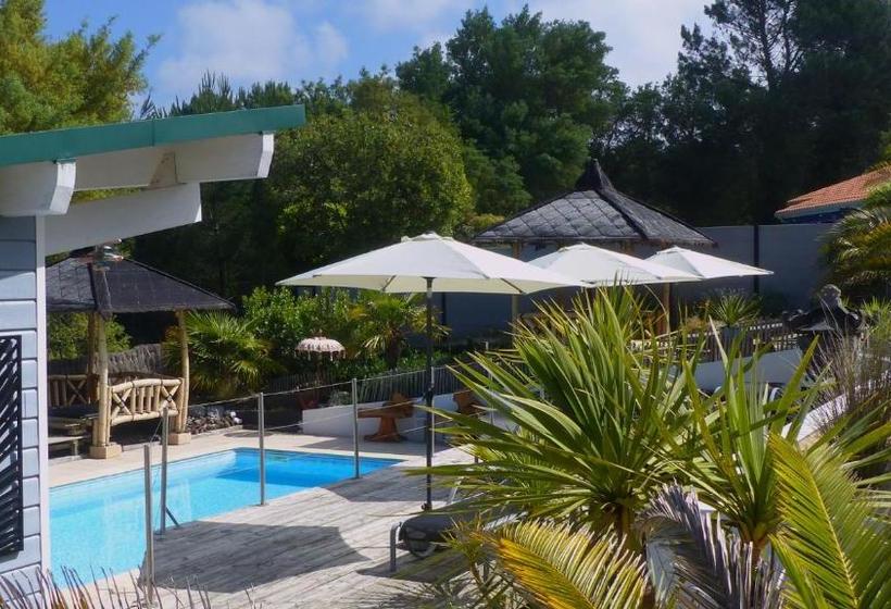 تختخواب و صبحانه Ohana Lodge