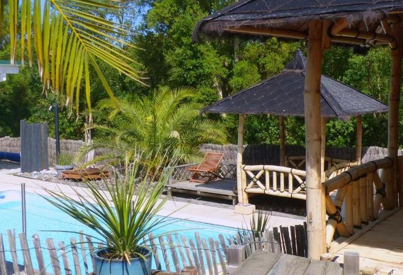 تختخواب و صبحانه Ohana Lodge