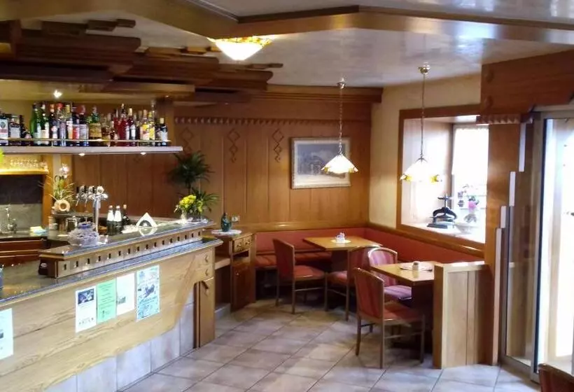 ホテル Albergo Alpino