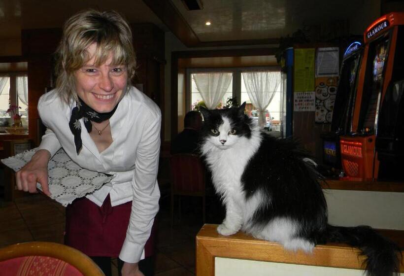 בית מלון כפרי Albergo Alpino