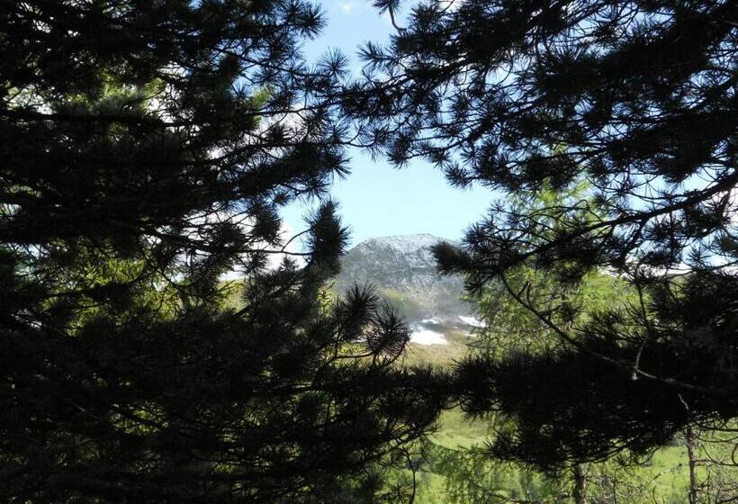 בית מלון כפרי Albergo Alpino