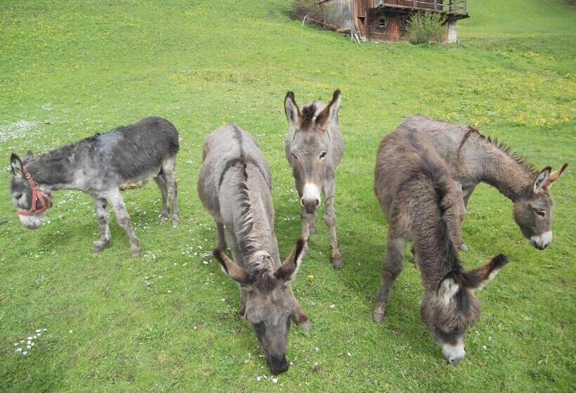 בית מלון כפרי Albergo Alpino