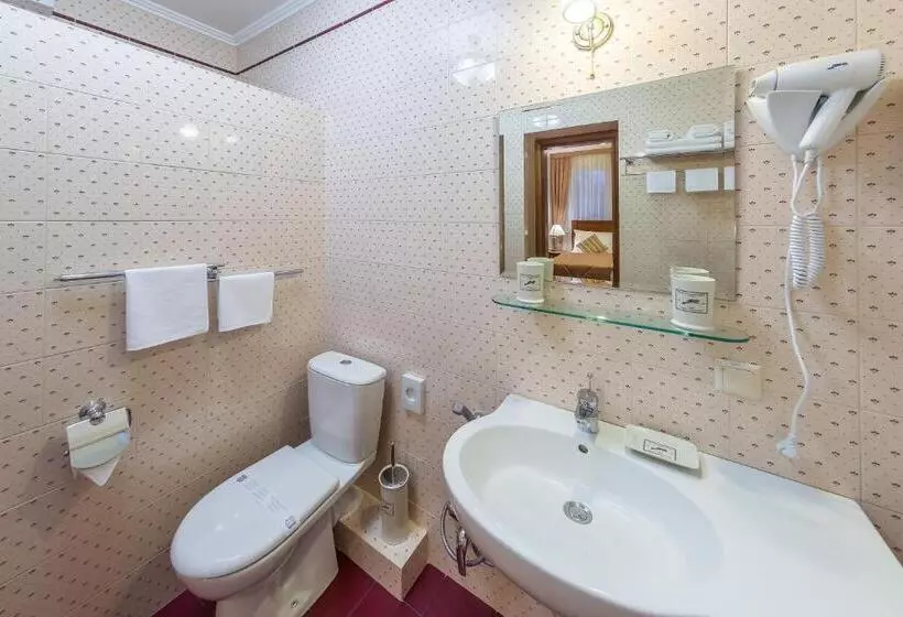 ホテル Bystrytsya Lux