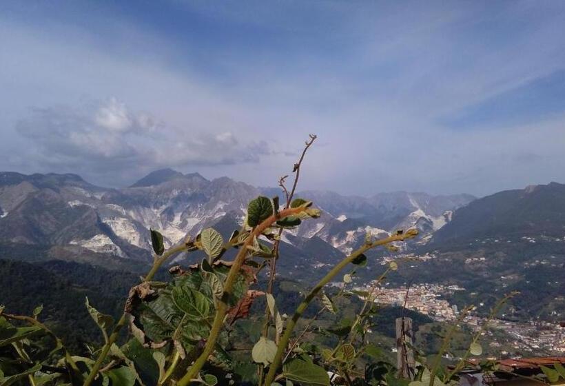 فندق Ristorante Radar