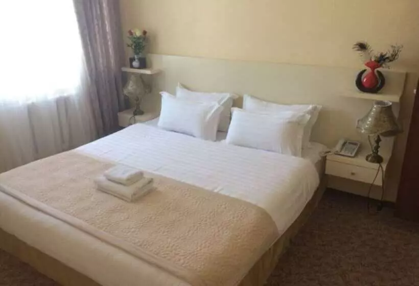 هتل Silk Way Boutique