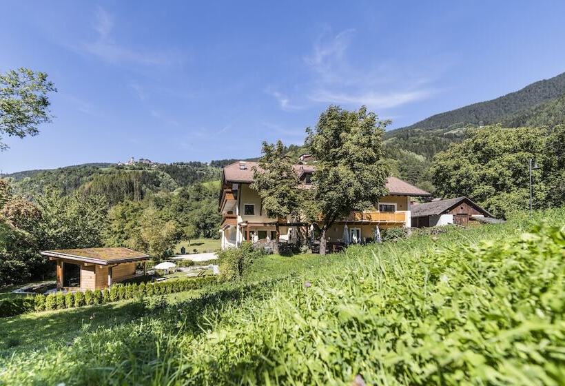 Отель Weisses Rössl   Cavallino Bianco