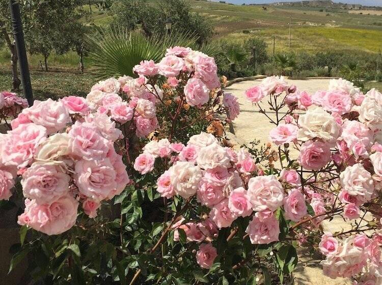 B&b Baglio Degli Ulivi