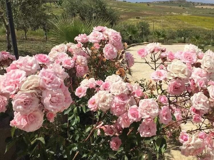 B&b Baglio Degli Ulivi