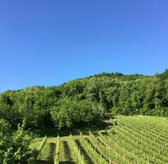 ベッドアンドブレックファースト Agriturismo Lemire