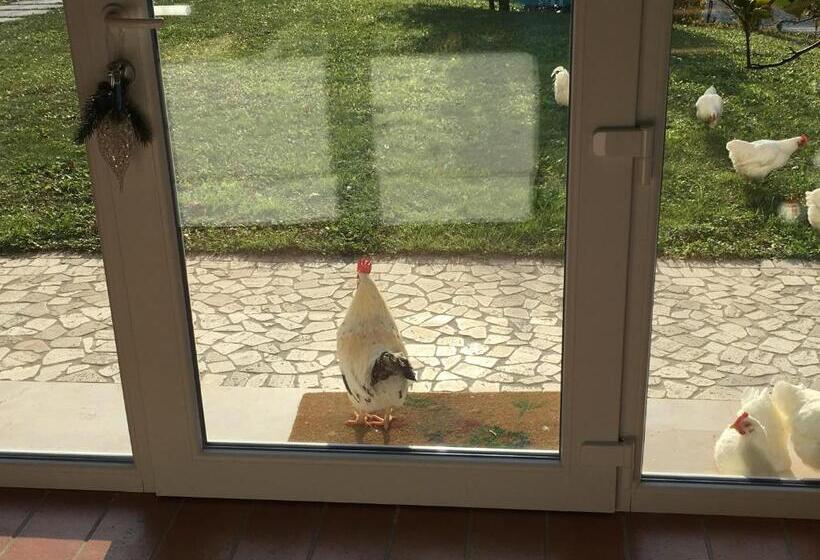 צימר Agriturismo Lemire