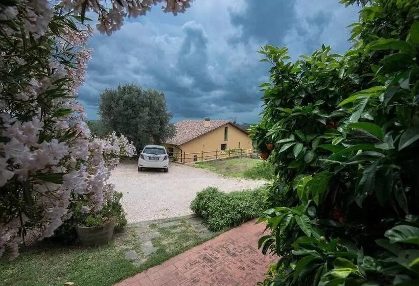 Aamiaismajoitus (B&B) Borgo De Salaioli