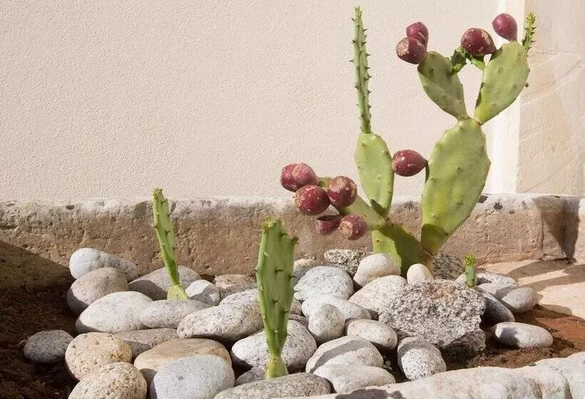 Aamiaismajoitus (B&B) Casina Dei Nonni