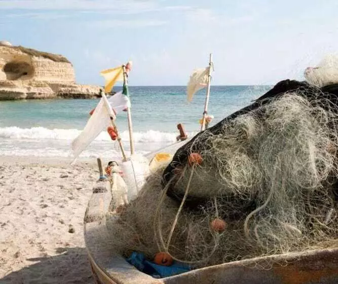 Aamiaismajoitus (B&B) Casina Dei Nonni