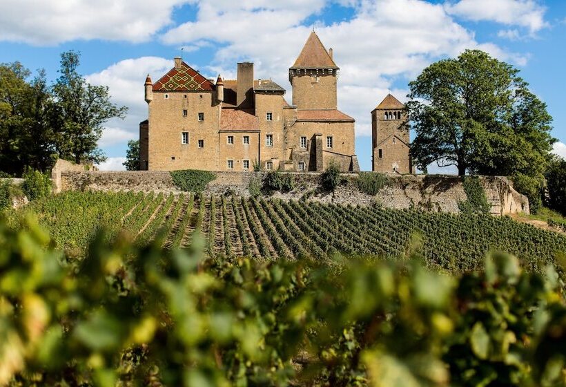 مبيت وإفطار Château De Pierreclos