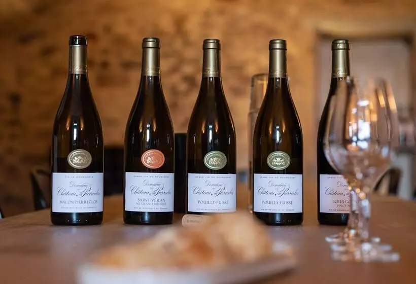 Aamiaismajoitus (B&B) Château De Pierreclos