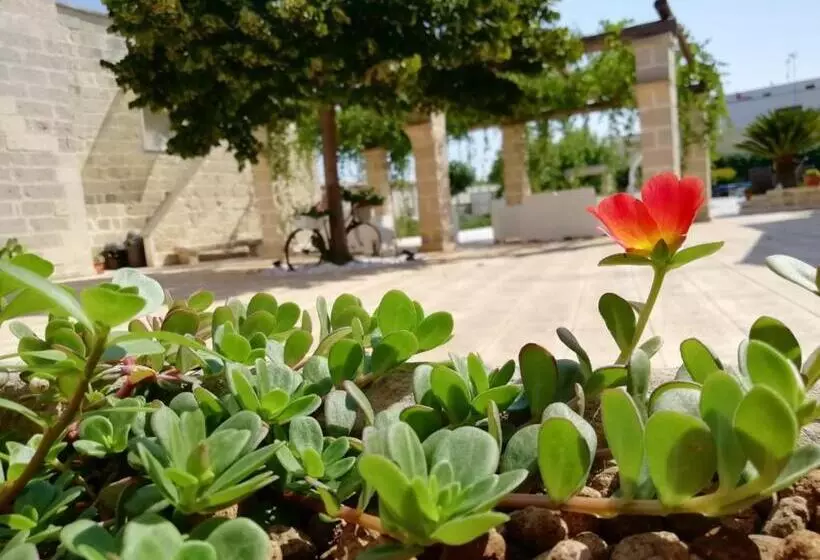 ベッドアンドブレックファースト Il Giardino Del Tiglio