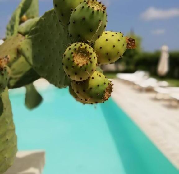 צימר Il Giardino Del Tiglio