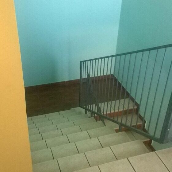 تختخواب و صبحانه Oasi