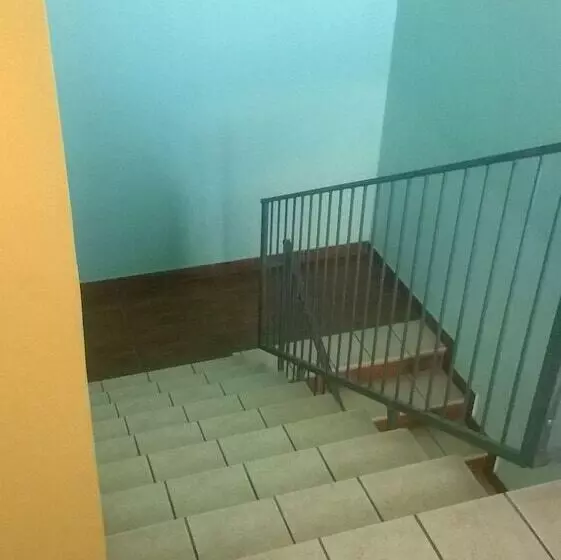 تختخواب و صبحانه Oasi
