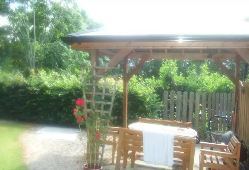 Elderberry B&b