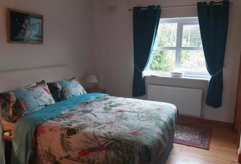 Elderberry B&b