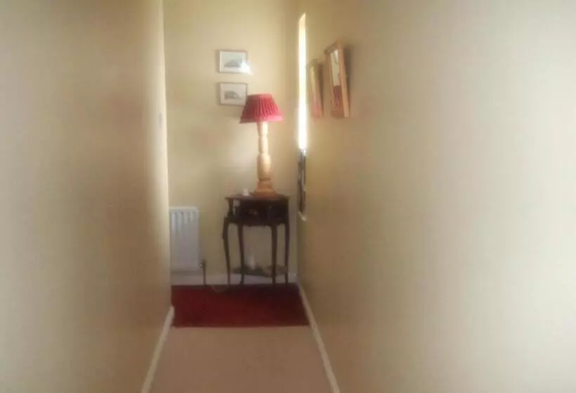 Elderberry B&b