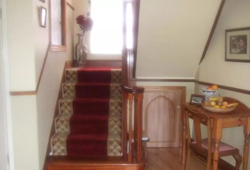 Elderberry B&b