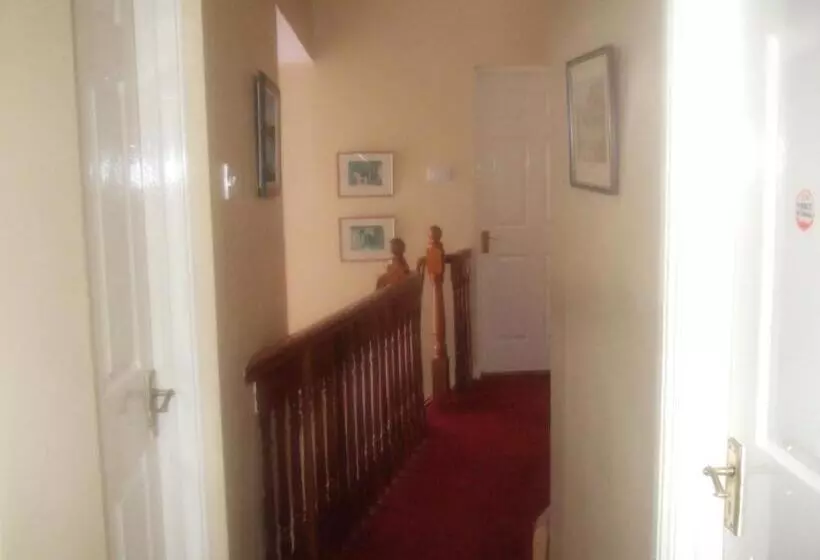 Elderberry B&b