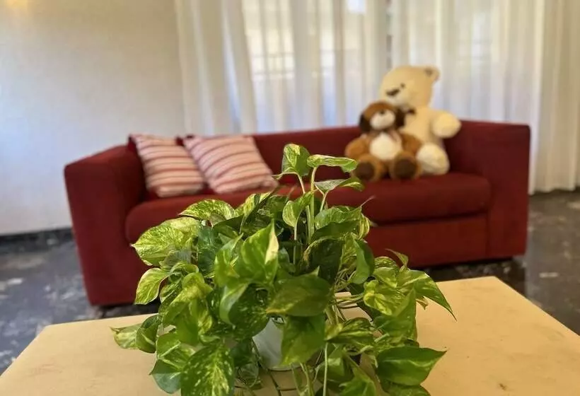 ホテル Le Focette Dell Orso