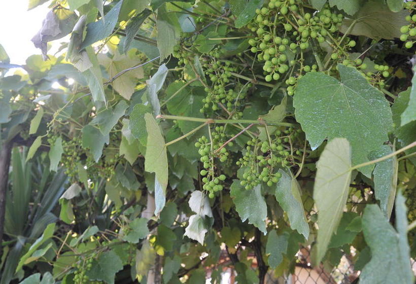 هتل Locanda Podere Il Riposo