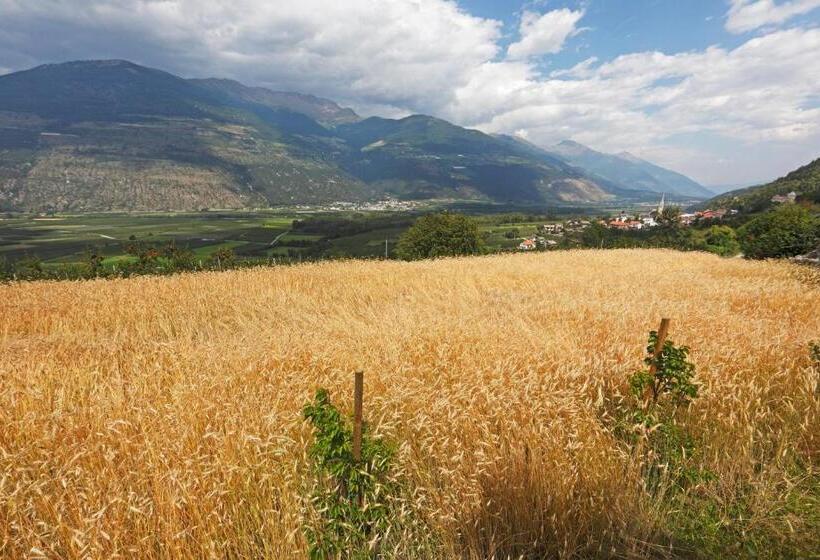 酒店 Pension & Residence Astoria