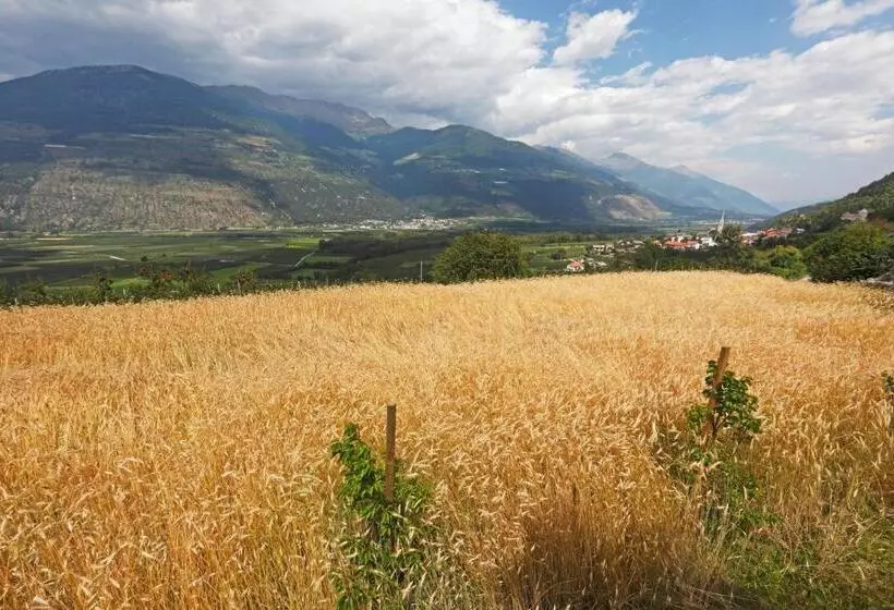 Hotelli Pension & Residence Astoria