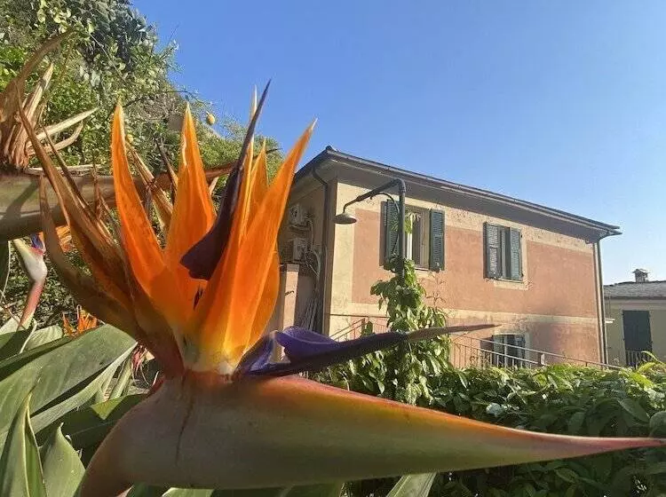 Hotelli Pensione Sorriso