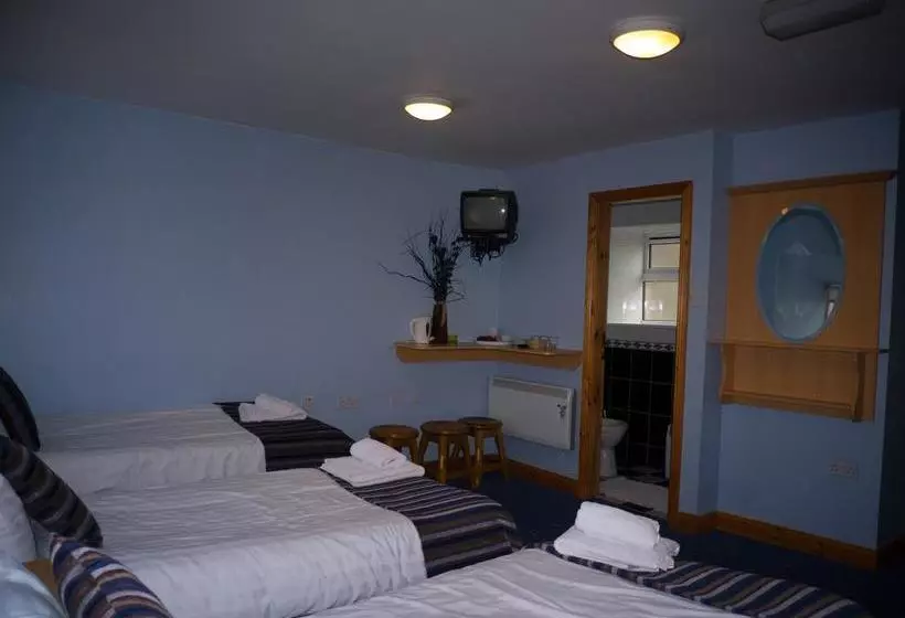 ベッドアンドブレックファースト The Dingle Pub Rooms