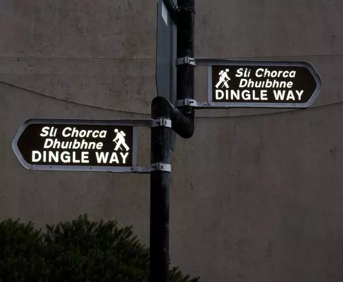 ベッドアンドブレックファースト The Dingle Pub Rooms