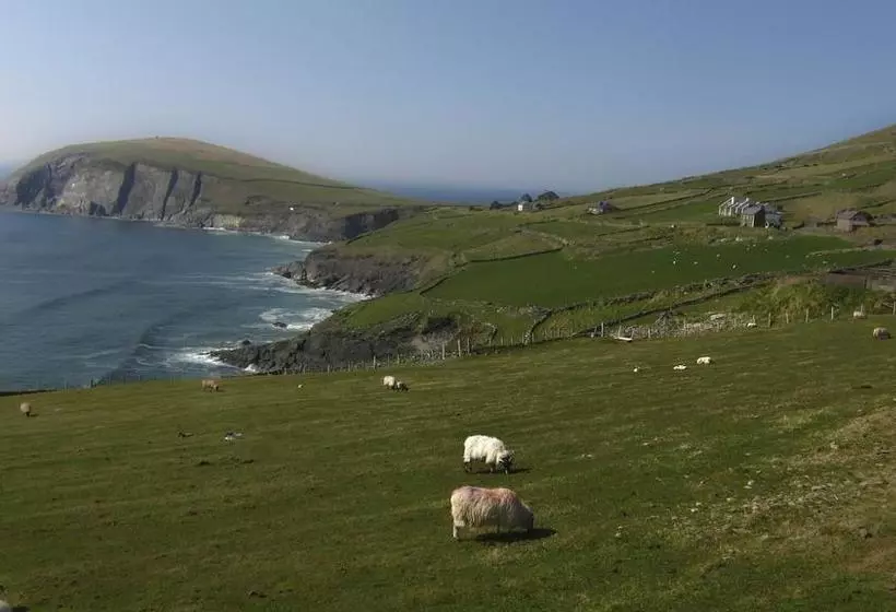 ベッドアンドブレックファースト The Dingle Pub Rooms