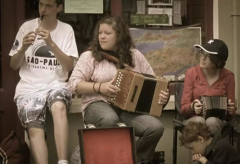 ベッドアンドブレックファースト The Dingle Pub Rooms