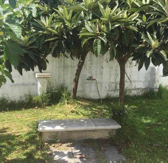 Bed and Breakfast Affittacamere Room And Breakfast Antonuccio