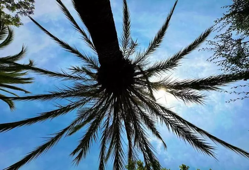 تختخواب و صبحانه Relais San Damian