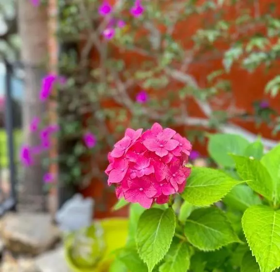 تختخواب و صبحانه Relais San Damian