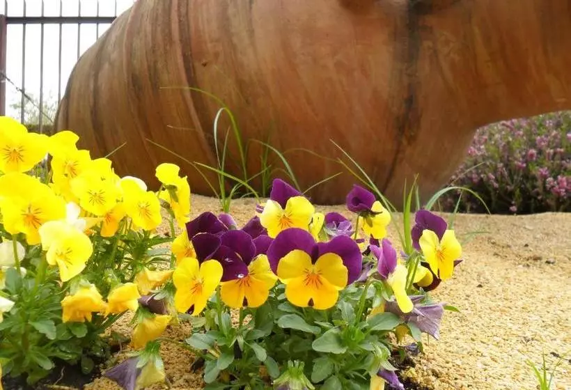 Hotelli Albergo Panoramica