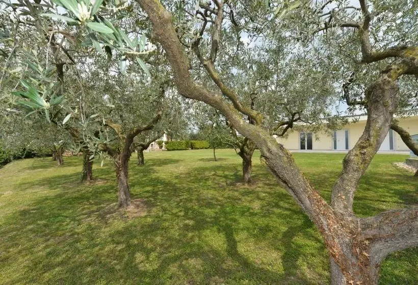 Hotelli Albergo Panoramica